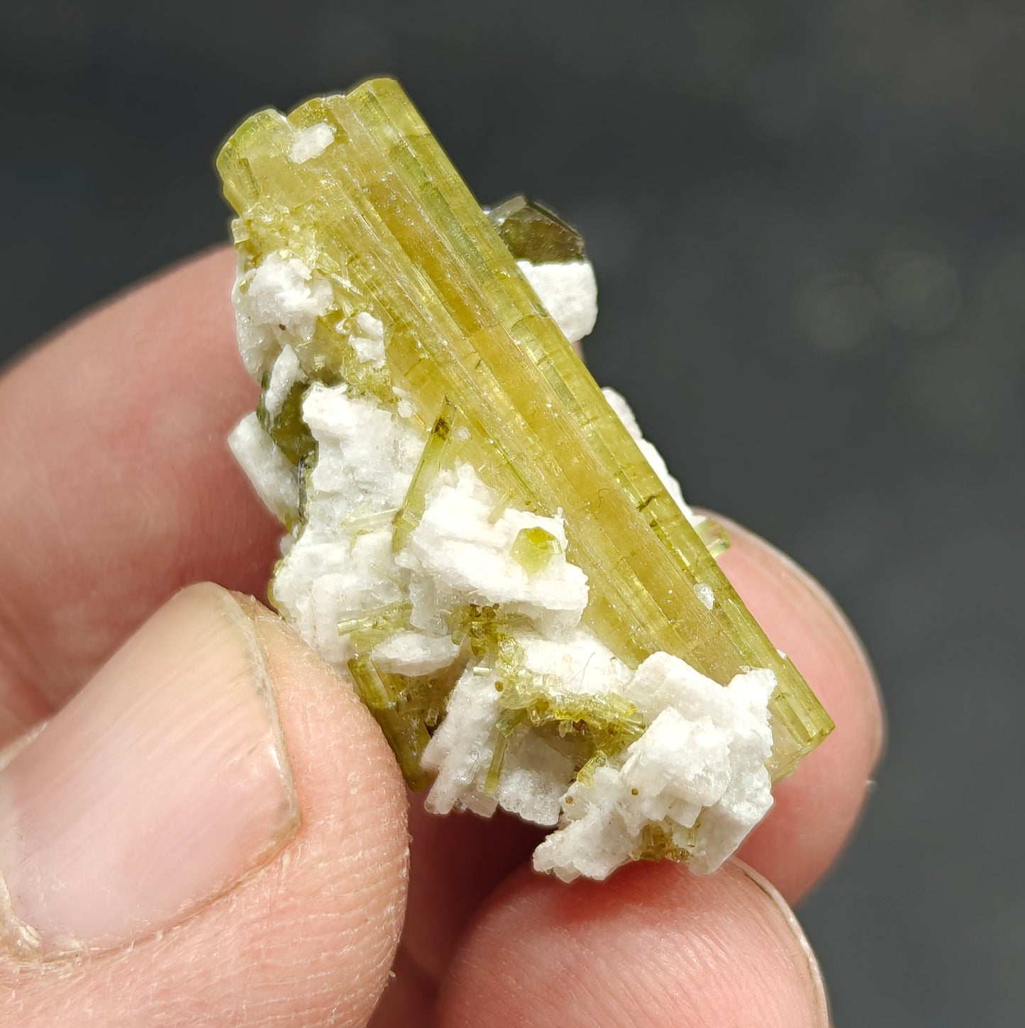 Small aesthetic green tourmaline specimen 33 carats