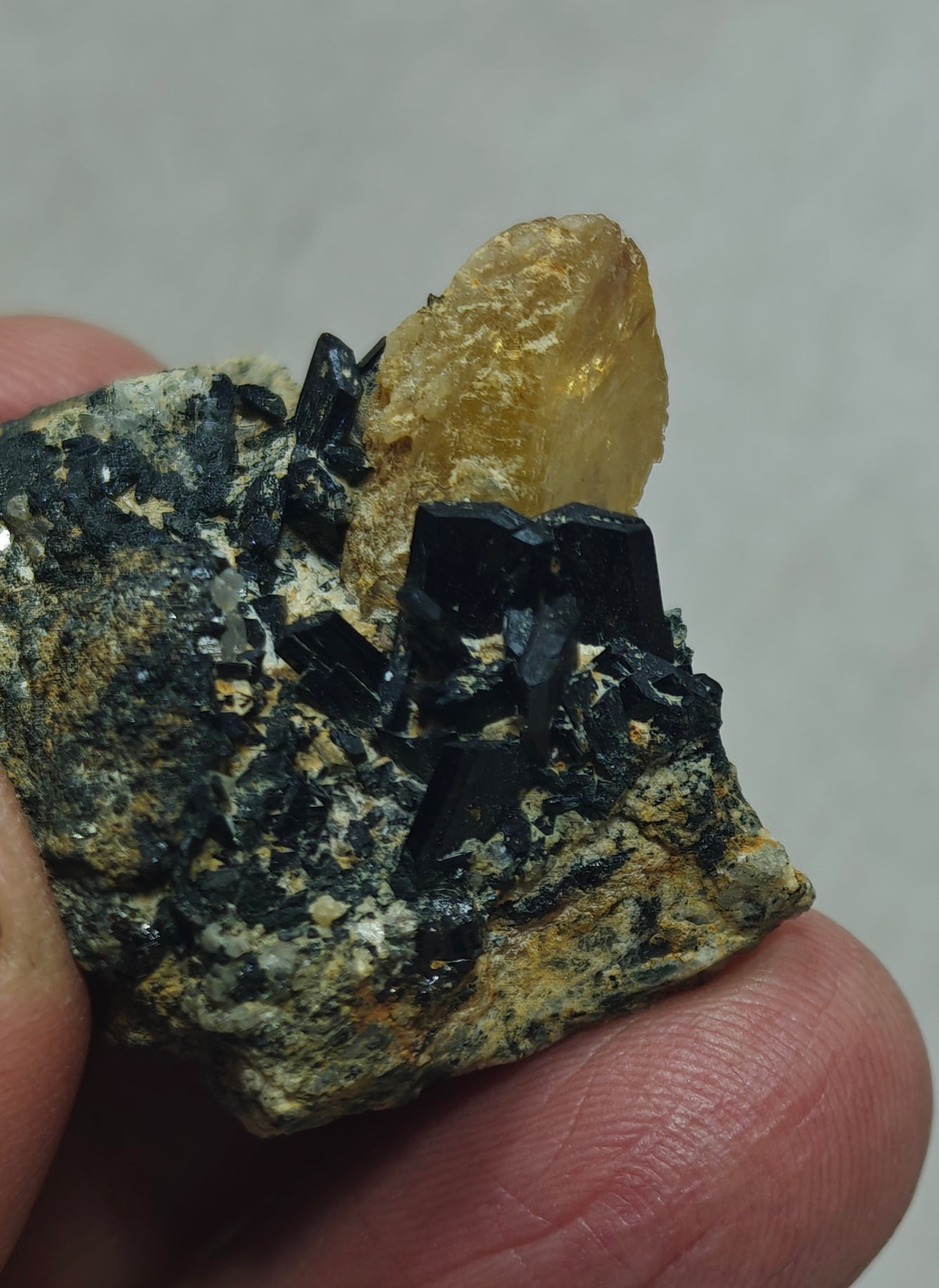 Titanite sphene with actinolite or aegirine on matrix 21g