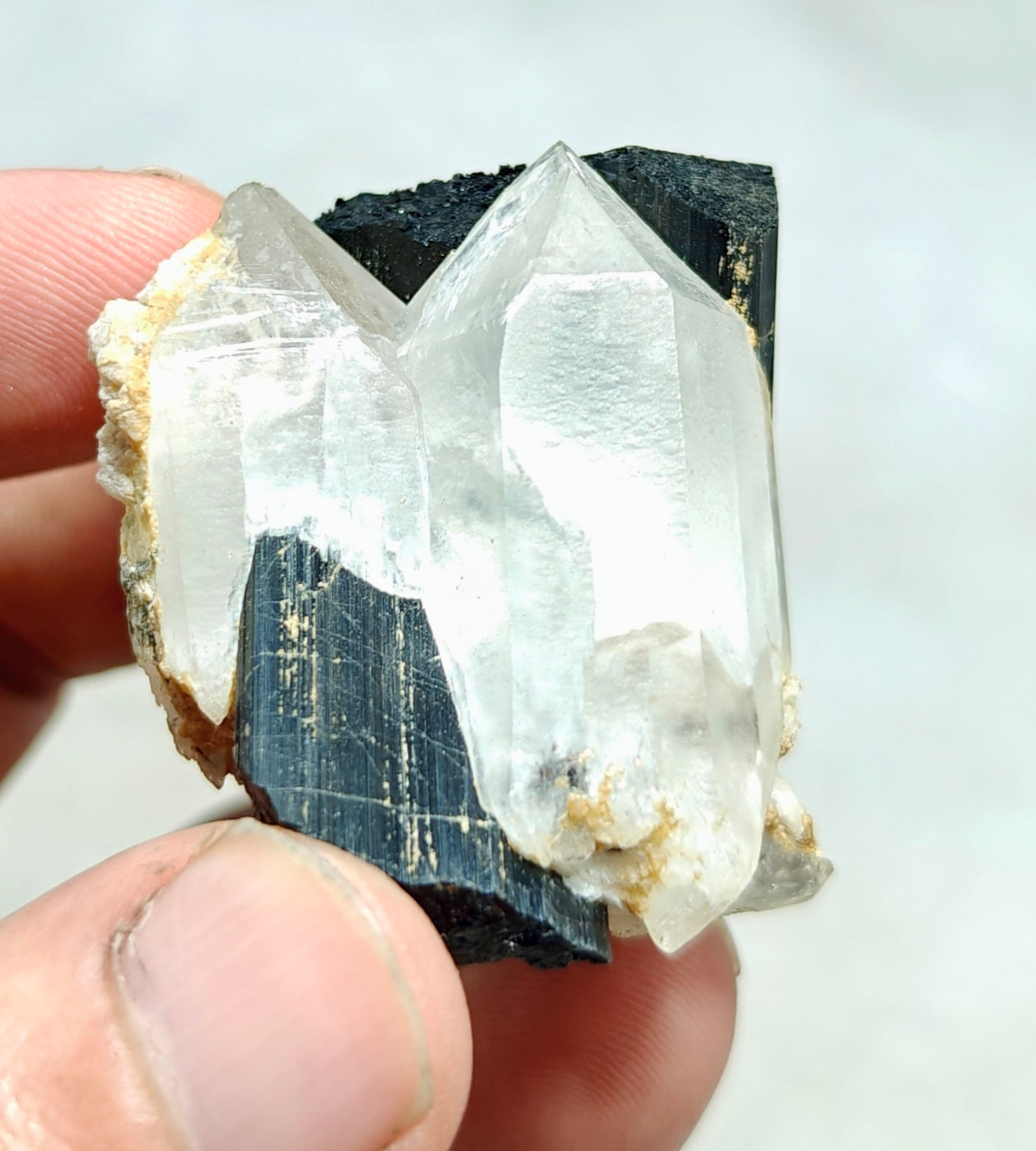 An Aesthetic Natural black Tourmaline crystal with terminated quartz crystals 85 grams