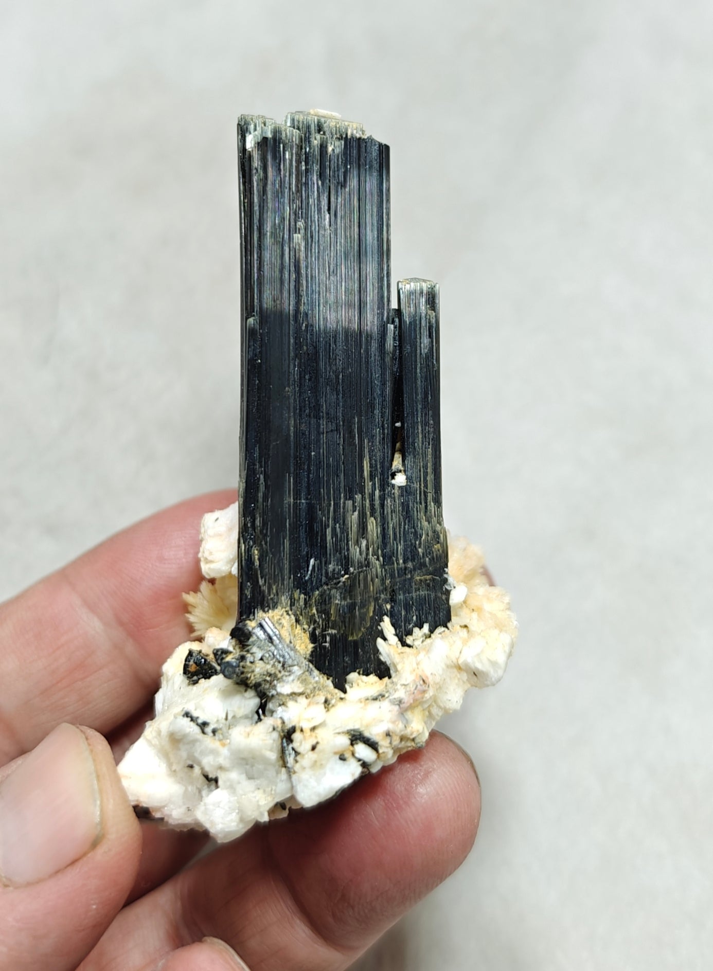Tourmaline crystals on matrix with Albite attachment self standing 89 grams