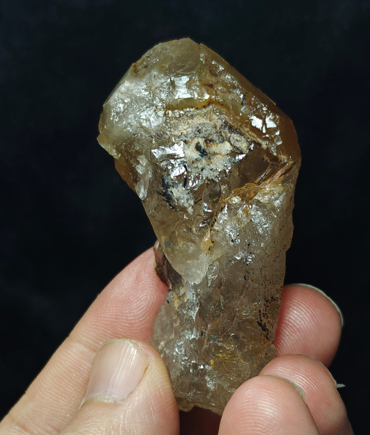 Astrophyllite included terminated Quartz Crystal 58 grams