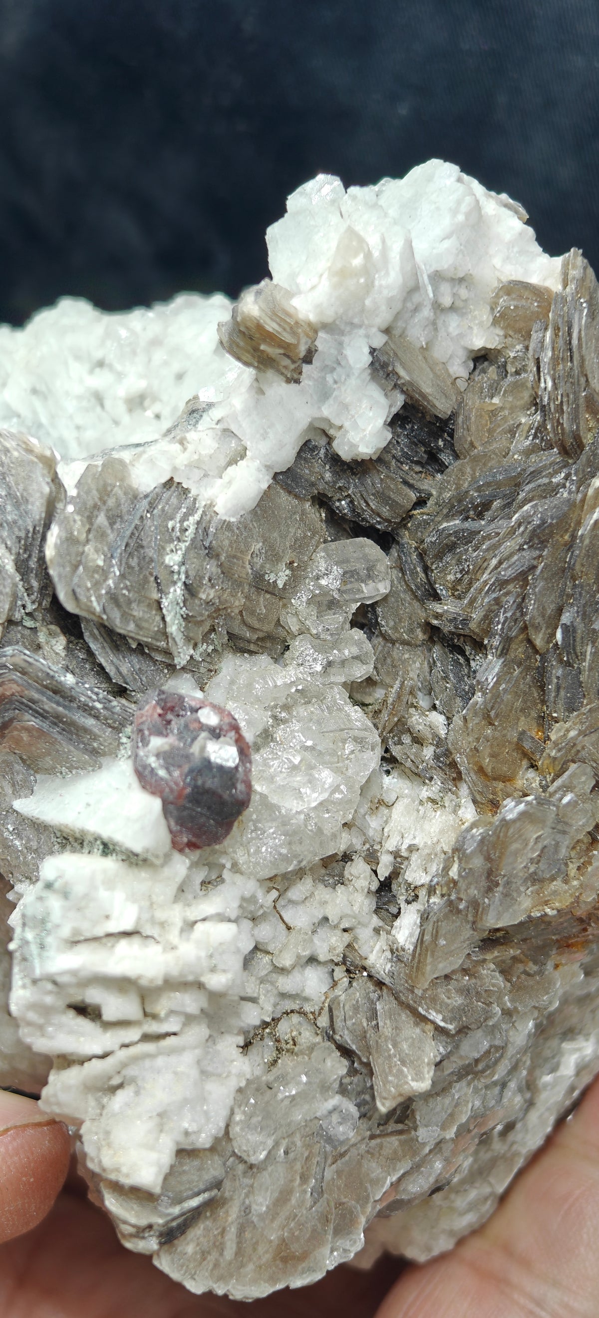 Natural spessartine garnet embedded in muscovite, with albite and quartz 544 grams