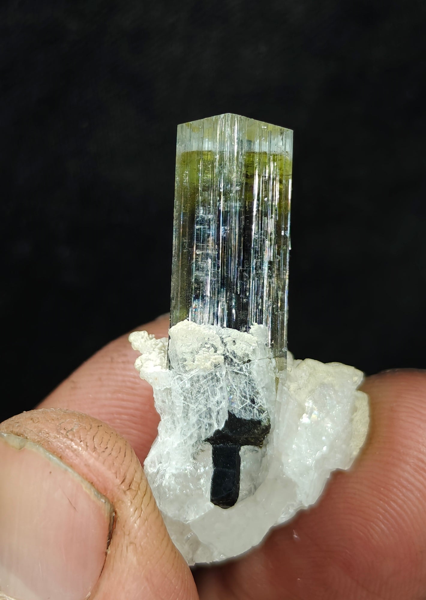 Natural multicolor Tourmaline crystal and associated cleavlandite and a bit of quartz 8 grams