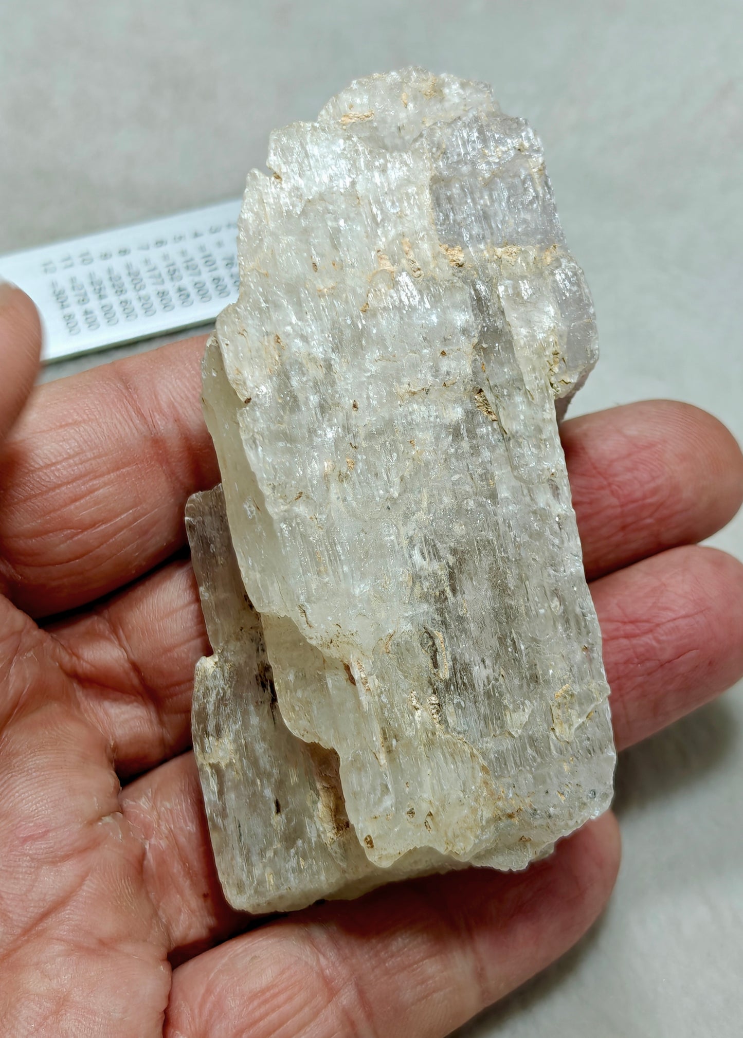 An amazing specimen of Bicolor terminated spodumene crystal 157 grams