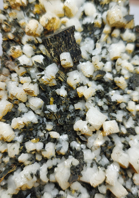 Very aesthetic Aegirine cluster with tiny sphene /titanite on matrix of Albite 960 grams