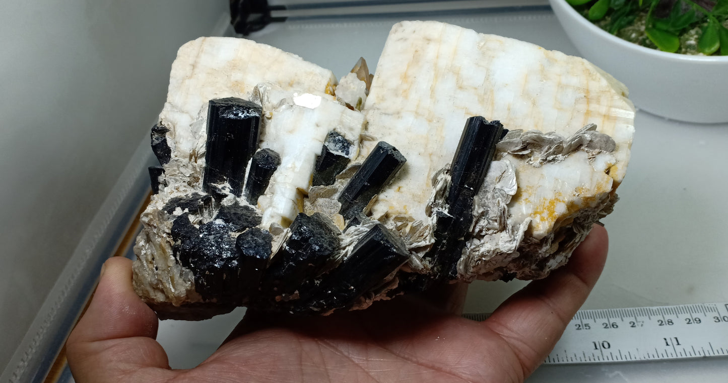 Beautiful Black Tourmaline Specimen with Albite and Quartz Crystals 1450 grams
