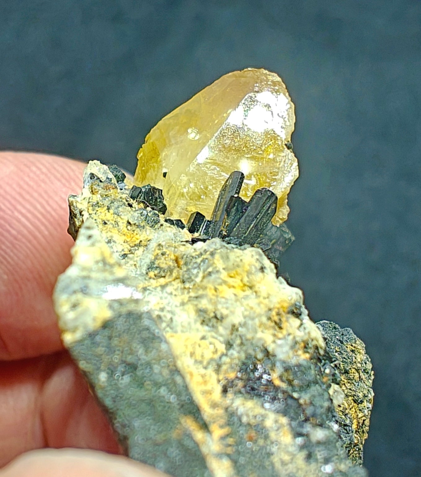 Titanite sphene with actinolite or aegirine on matrix 21g