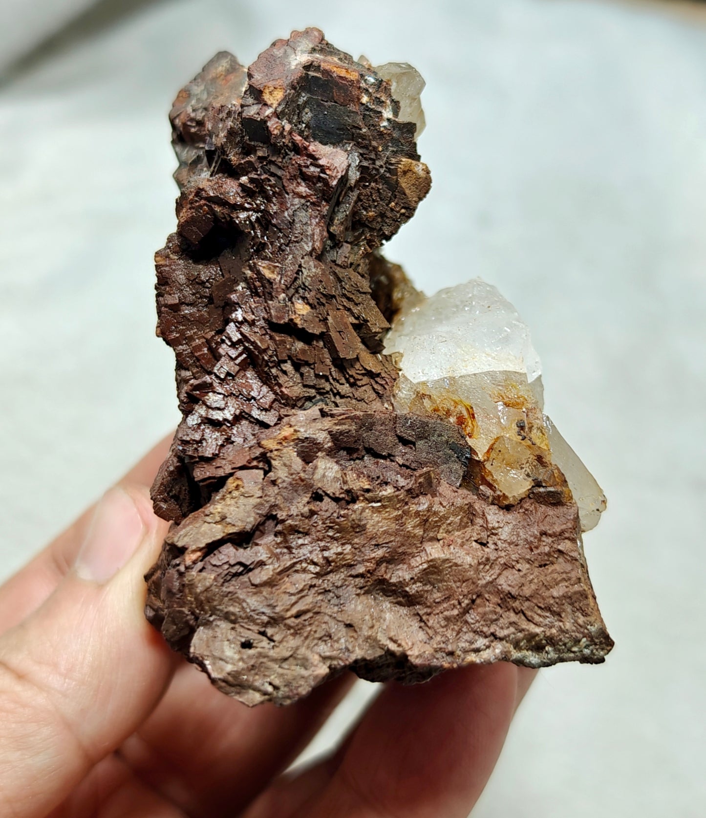 Natural siderite specimen on matrix with quartz 234 grams