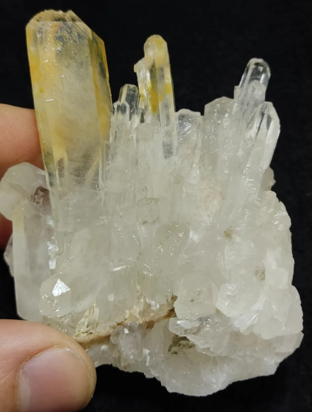 An Aesthetic Natural beautifully terminated yellow tips Quartz cluster 168 grams