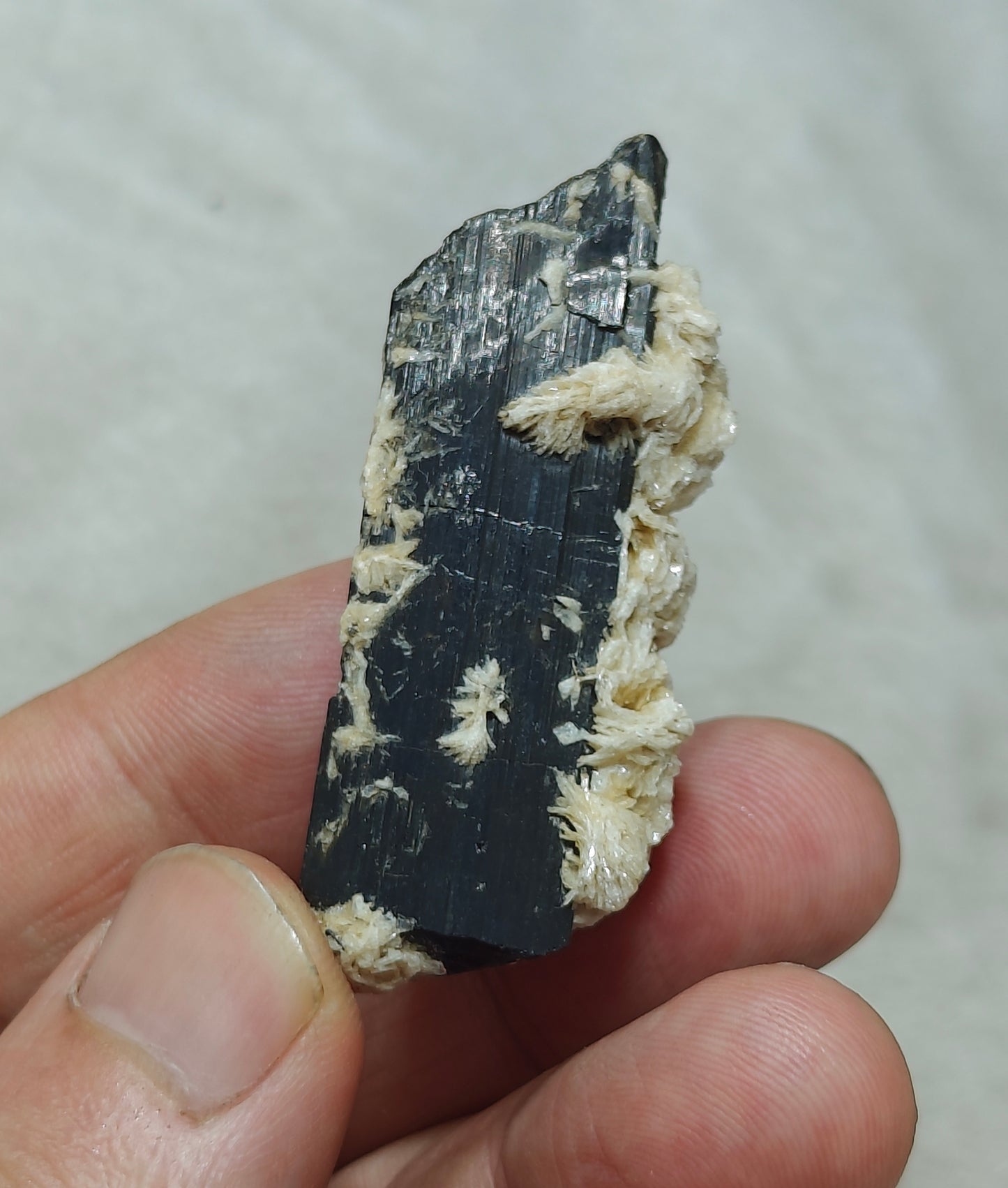 Natural Tourmaline crystal with associated Albite 30 grams