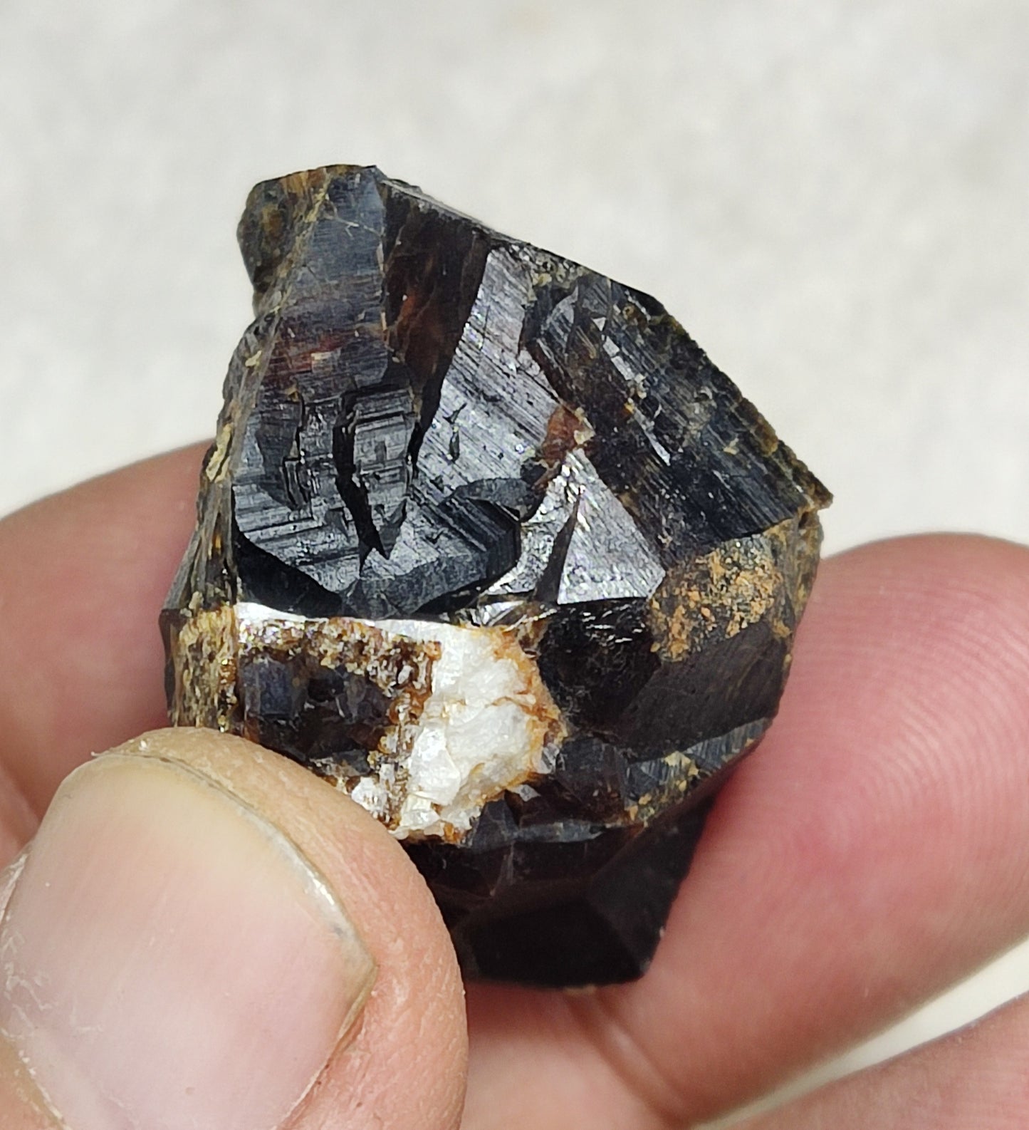 Garnet variety andradite crystal  specimen 37 grams