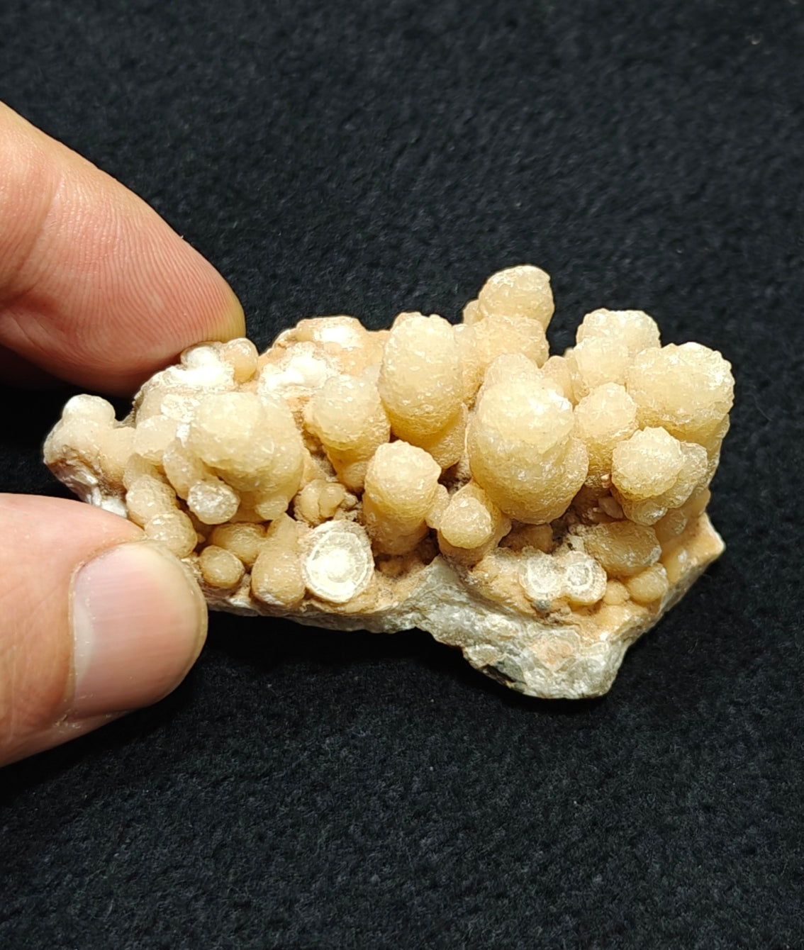 aragonite flower shape natural terminated crystals 61 grams