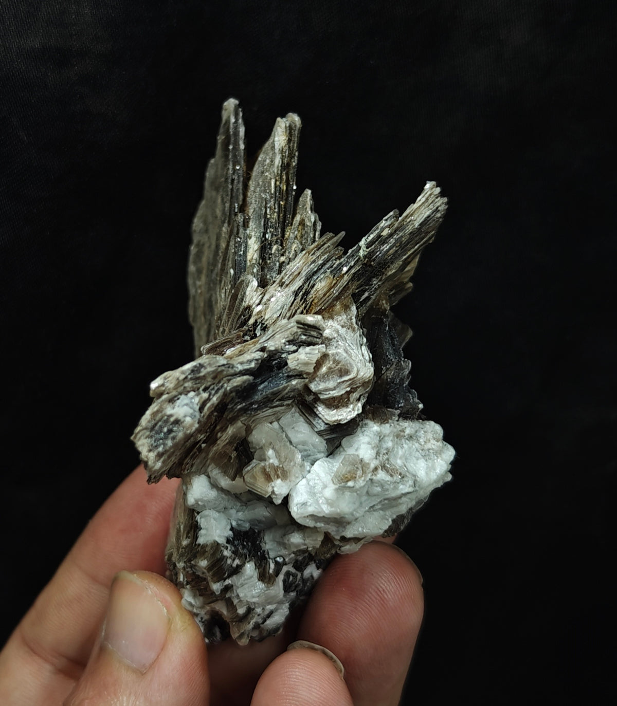 Natural spessartine garnet embedded in muscovite with albite 152 grams