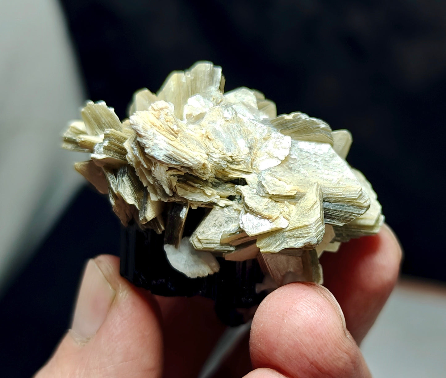 An Aesthetic Natural specimen of combination of Albite, Schorl, and Muscovite 54 grams