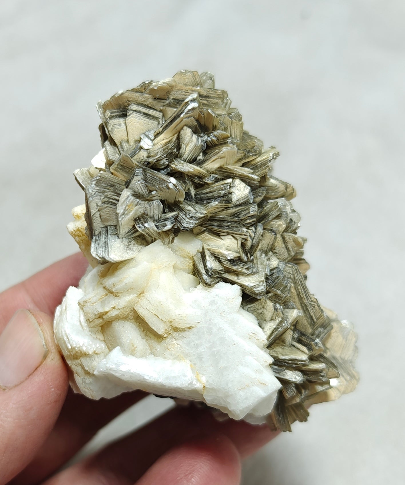 Natural specimen of combination of Albite, Schorl, and Muscovite 137 grams