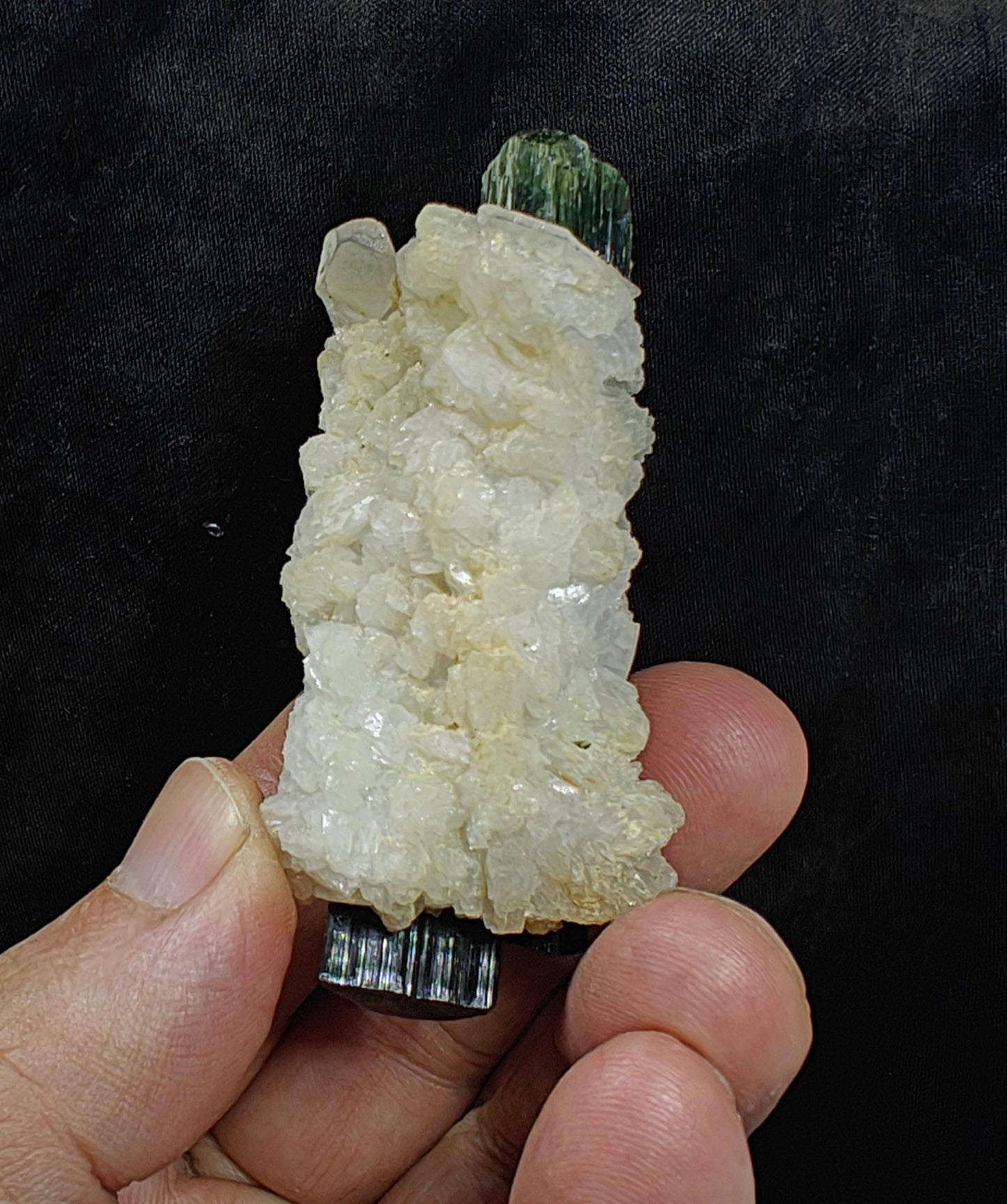 Perfectly terminated specimen of green cap Tourmalines crystals with associated albite 94 grams