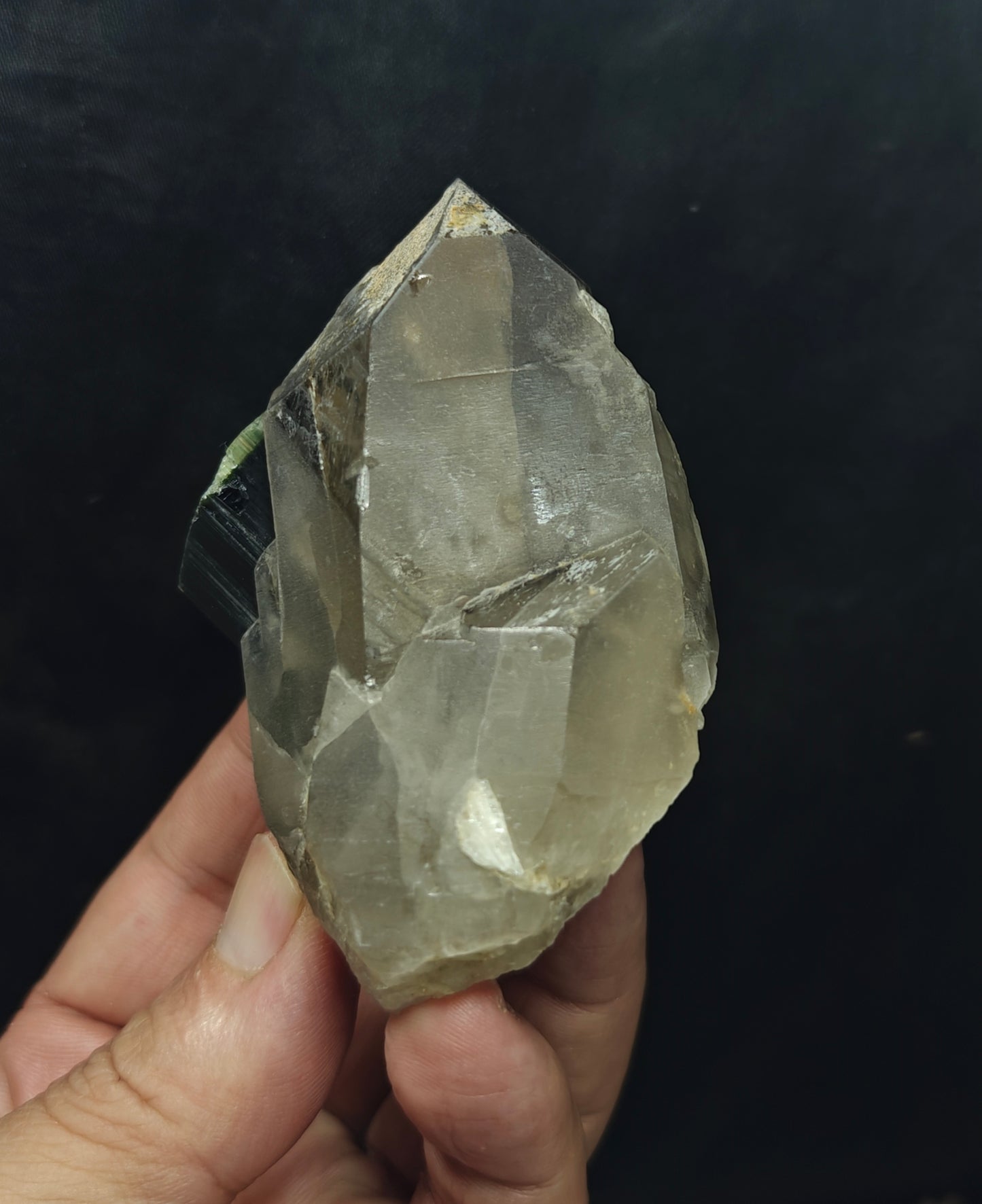 Natural greencap black/green Tourmaline crystal with smoky quartz 212 grams