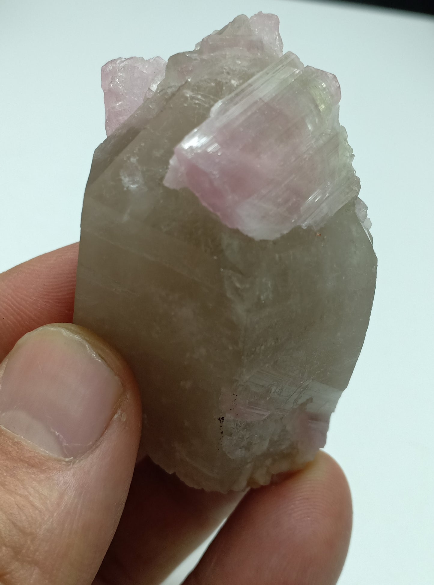 An amazing beautiful specimens of pink Tourmaline crystals Terminated smoky quartz 80g