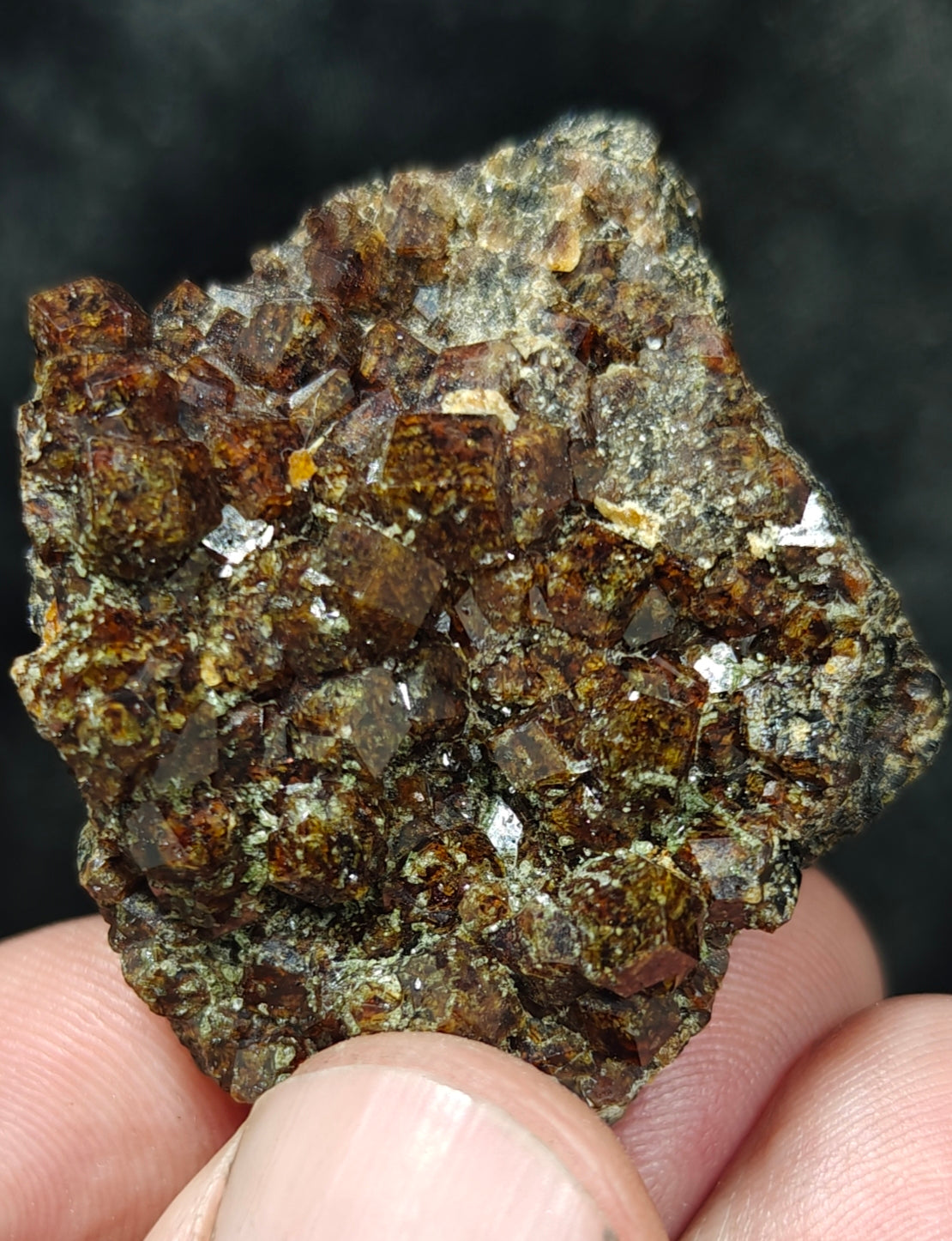 Single beautiful Garnet variety andradite clusters specimen 46 grams