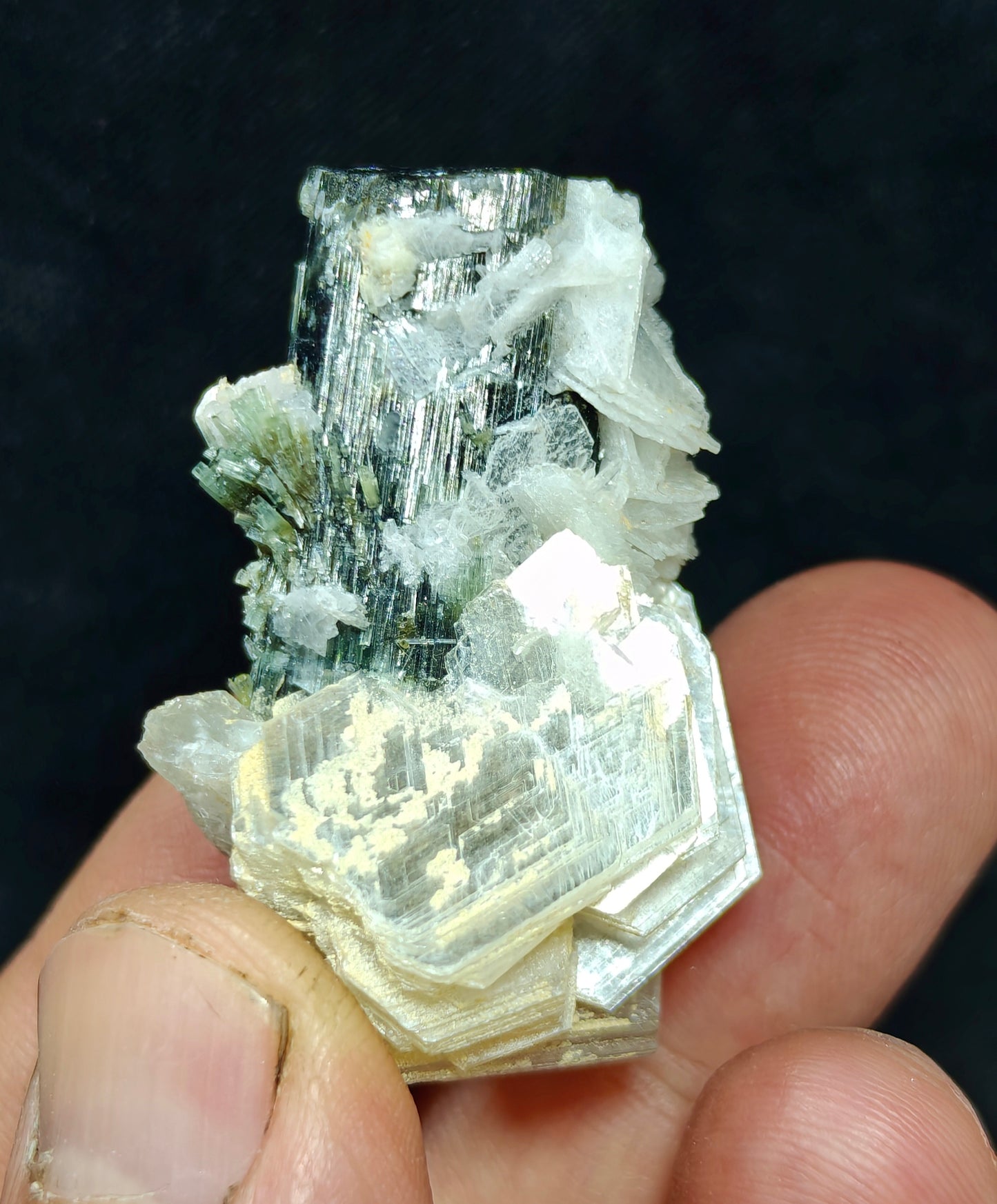 Natural dark green color Tourmaline crystal with associated cleavelandite, muscovite and a small quartz 24grams