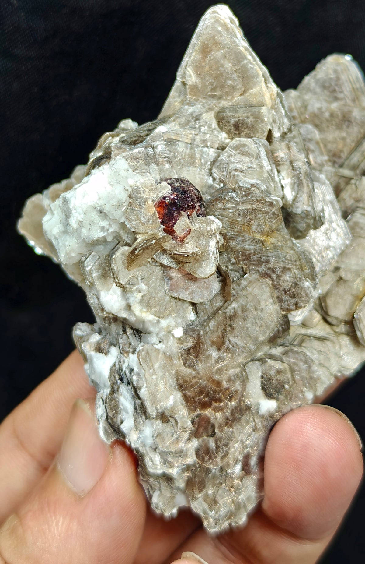 Natural spessartine garnet embedded in muscovite with albite 152 grams