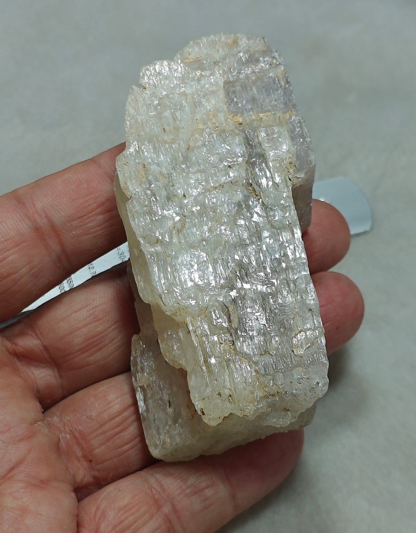 An amazing specimen of Bicolor terminated spodumene crystal 157 grams