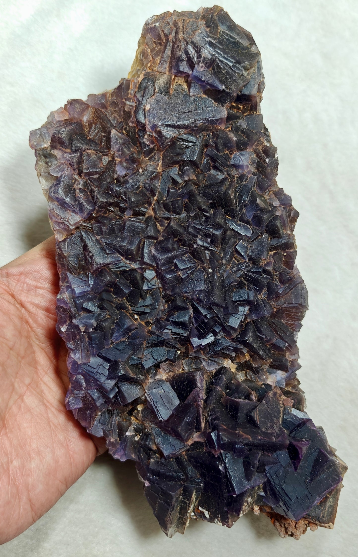 Amazing Fluorite clusters plate 1350 grams