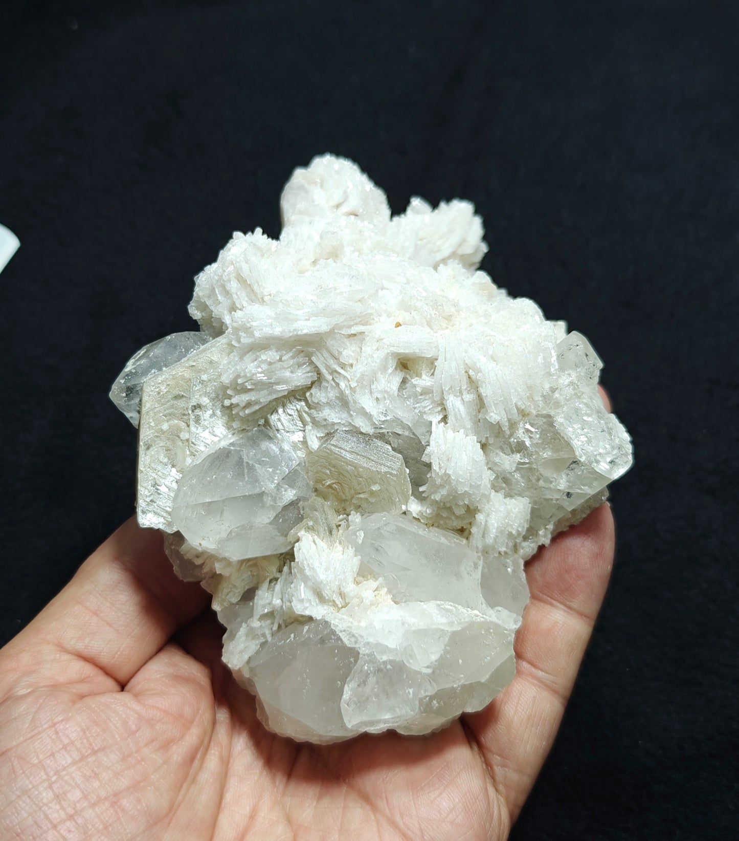Amazing specimen of albit, quartz, mica and tiny rare microlites on matrix 610 grams