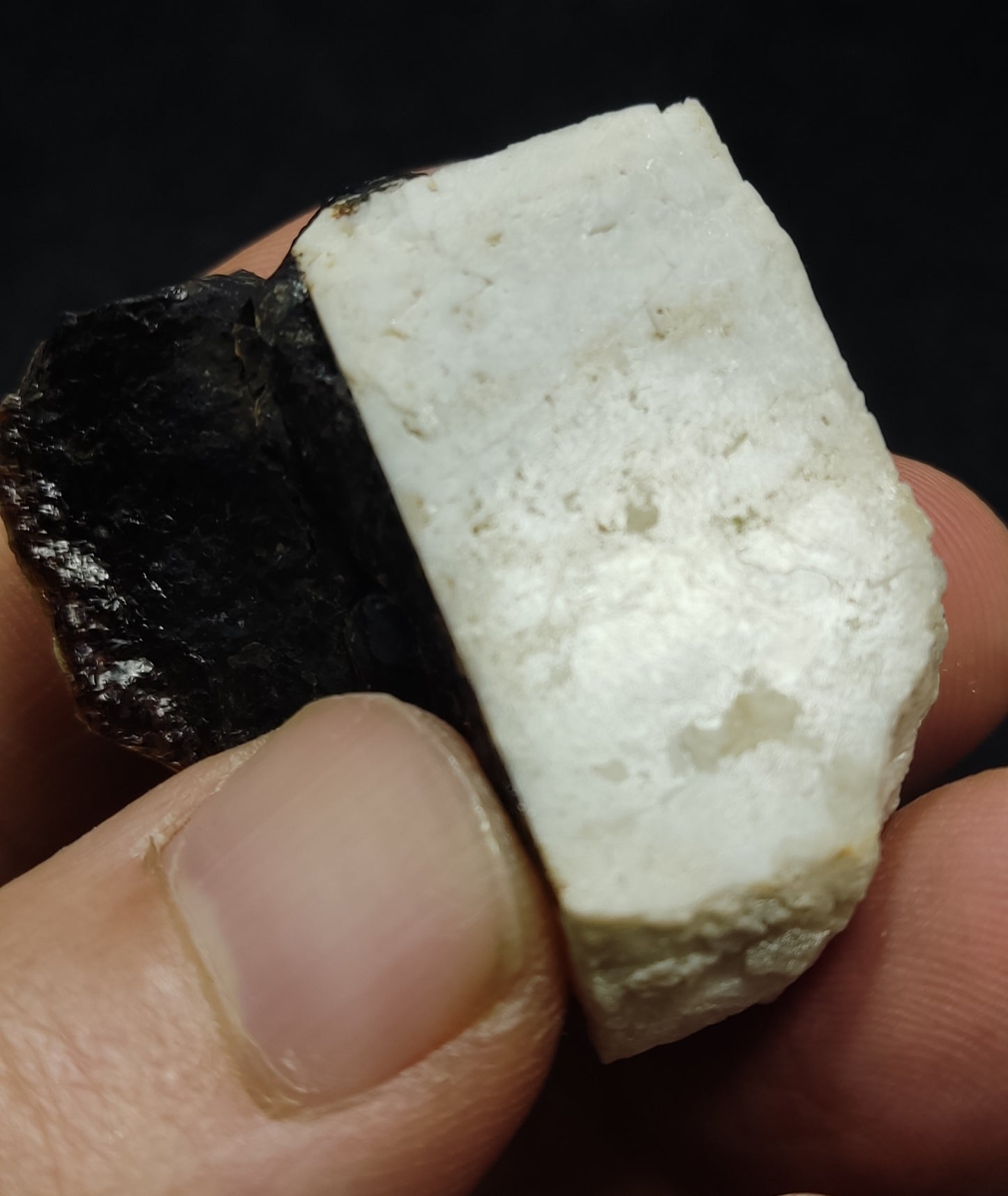 Garnet variety andradite on matrix 34 grams