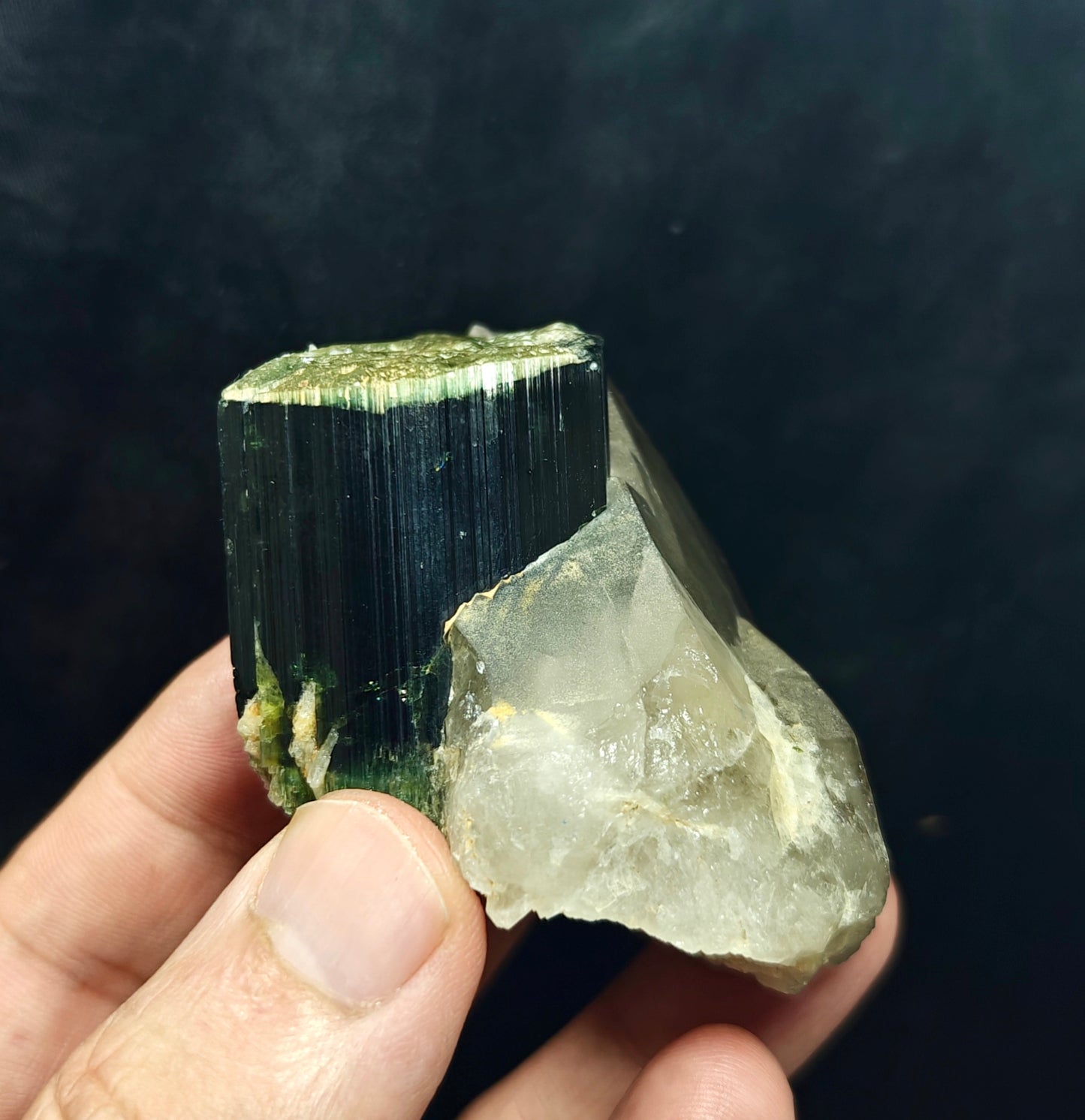 Natural greencap black/green Tourmaline crystal with smoky quartz 212 grams