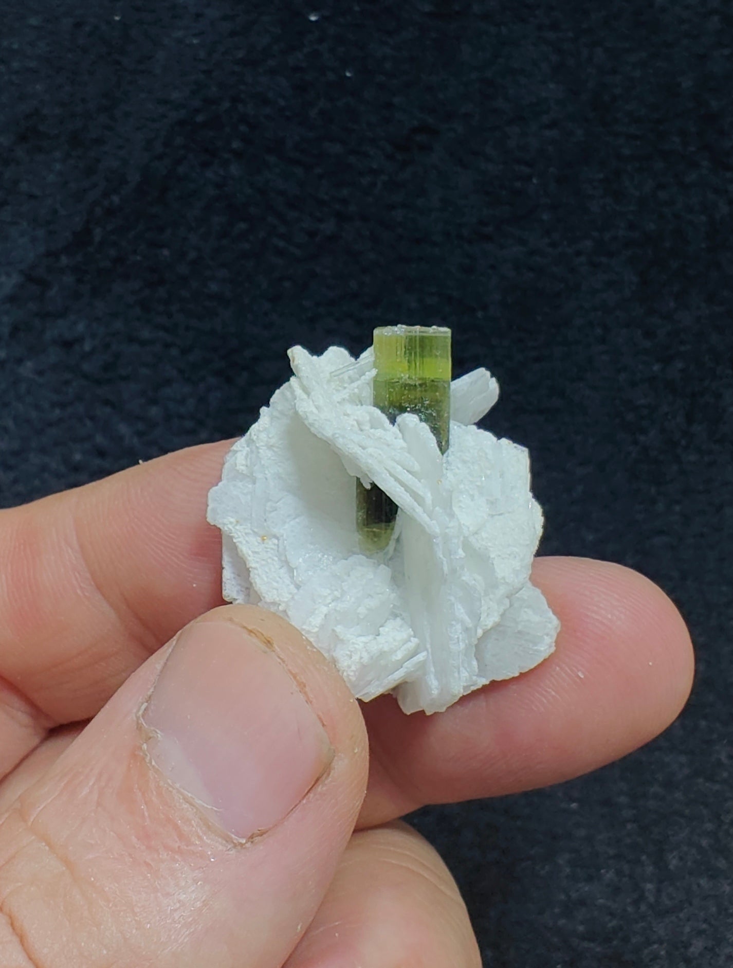 Greencap Tourmaline crystal with associated cleavelandite 10 grams