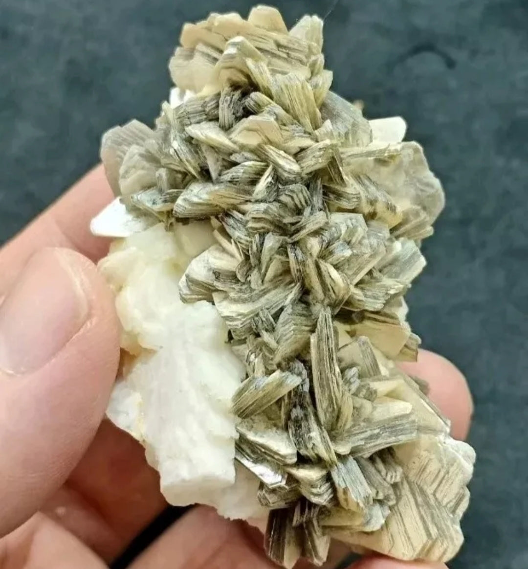 Natural specimen of combination of Albite, Schorl, and Muscovite 137 grams