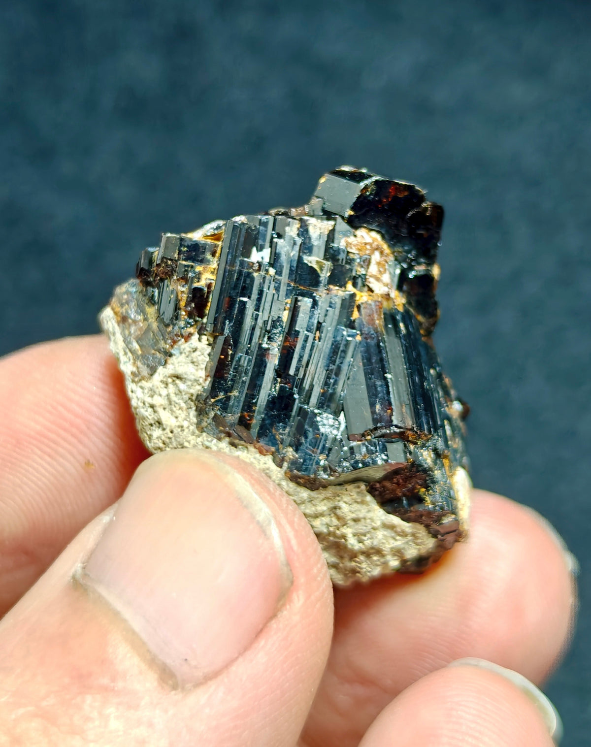 Natural dark brown Vesuvianite crystal on matrix 25 grams