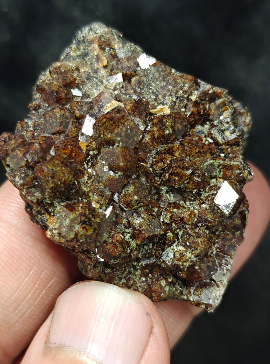 Single beautiful Garnet variety andradite clusters specimen 46 grams