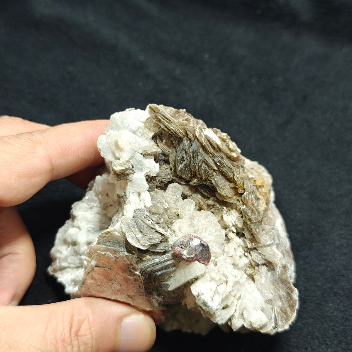 Natural spessartine garnet embedded in muscovite, with albite and quartz 544 grams
