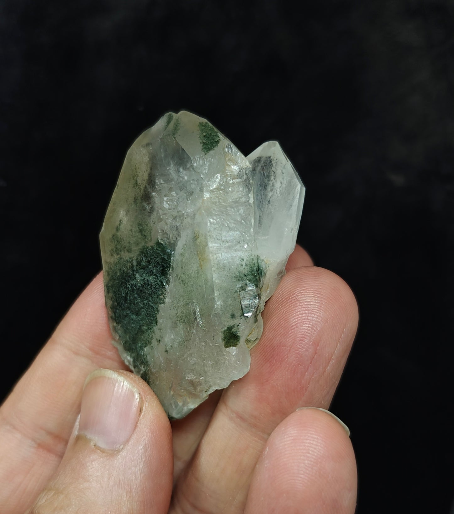 Natural chlorite quartz crystal 40 grams