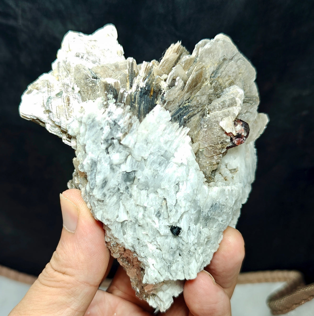 Natural spessartine garnet embedded in muscovite and albite 433 grams