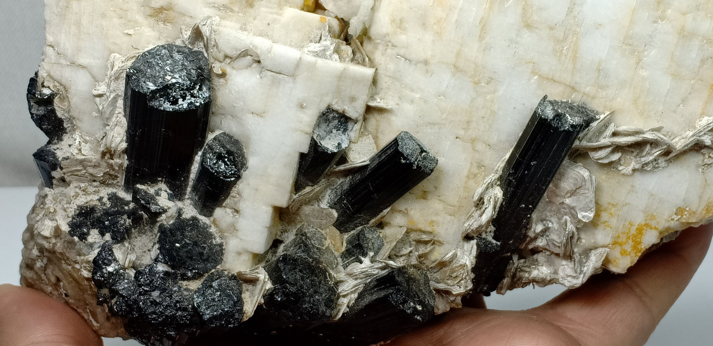 Beautiful Black Tourmaline Specimen with Albite and Quartz Crystals 1450 grams