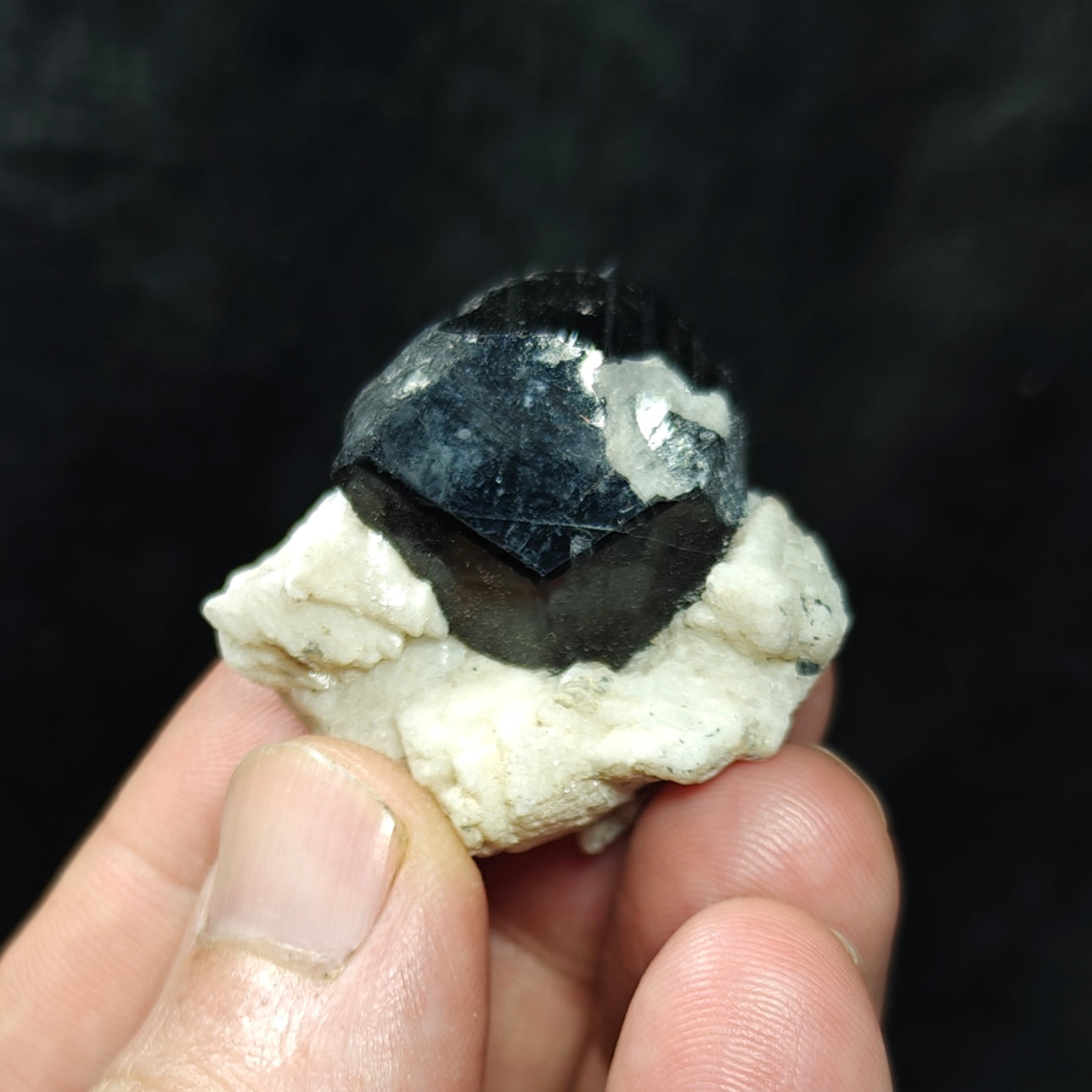 Natural Tourmaline crystal specimen with associated albite 29 grams