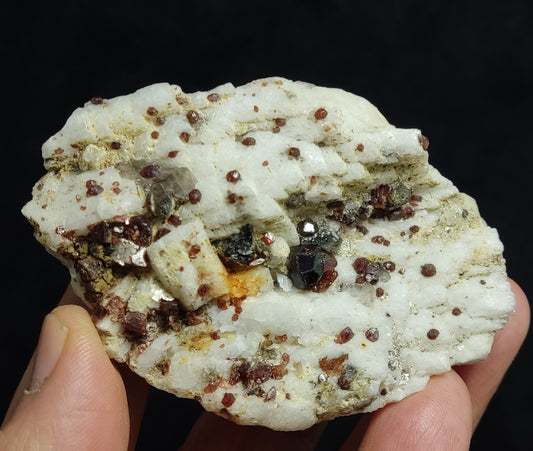 Garnets cluster variety spessartine on Albite 142 grams