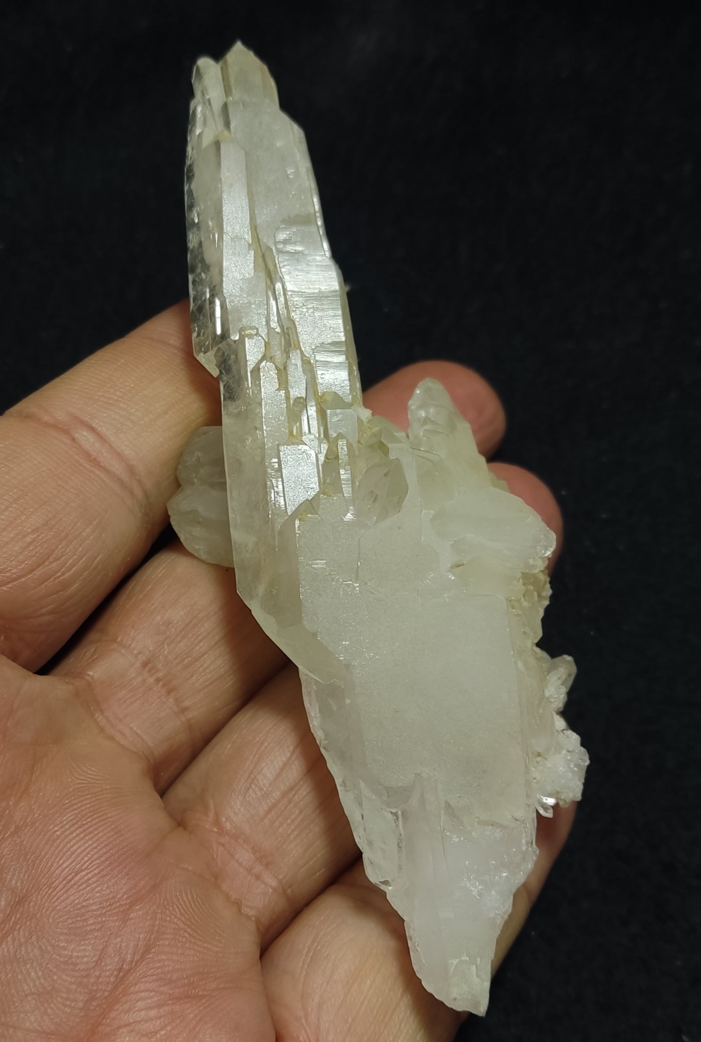 Faden/Chlorite Quartz Crystal 79 grams