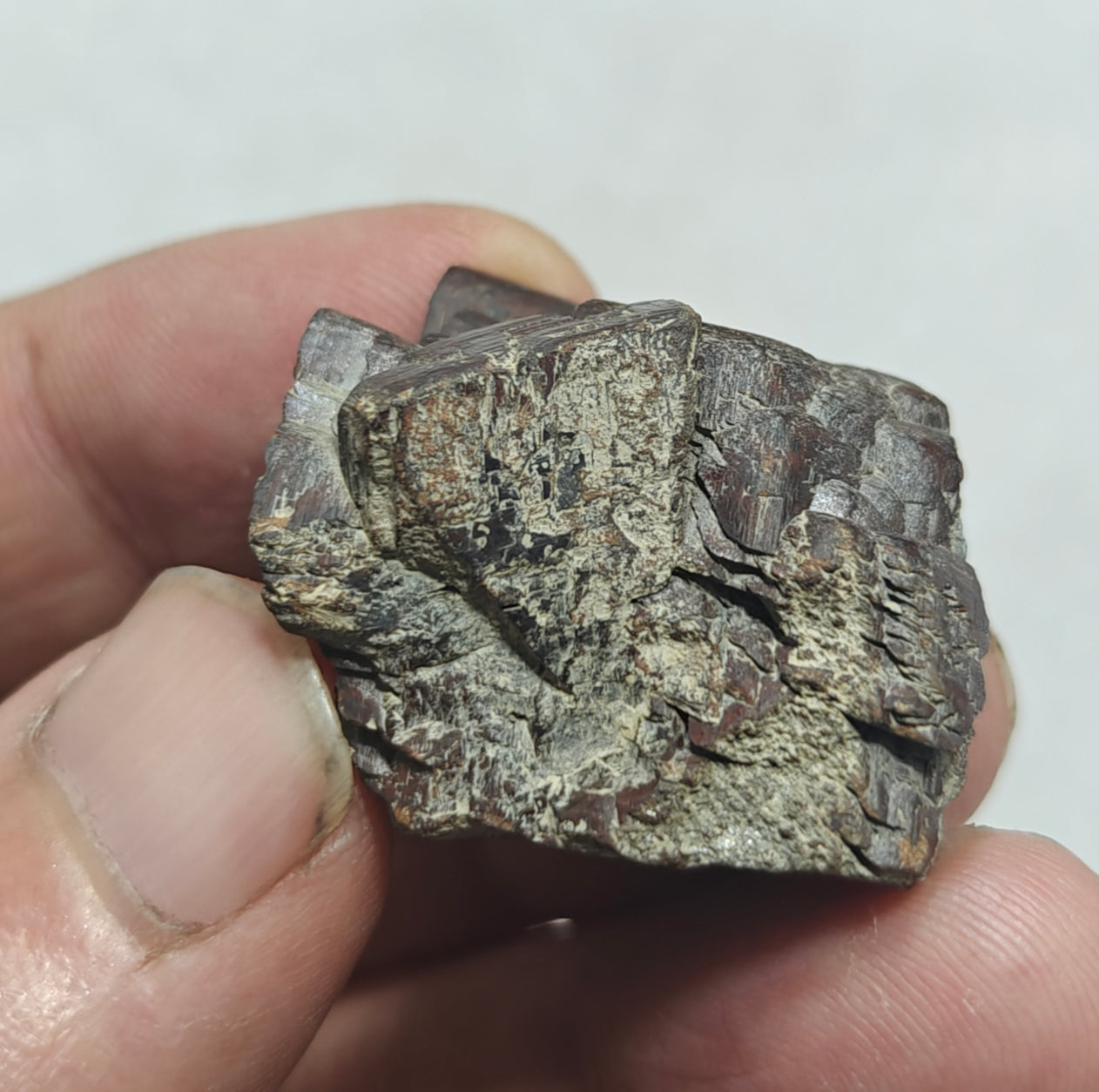 Natural siderite specimen 18 grams