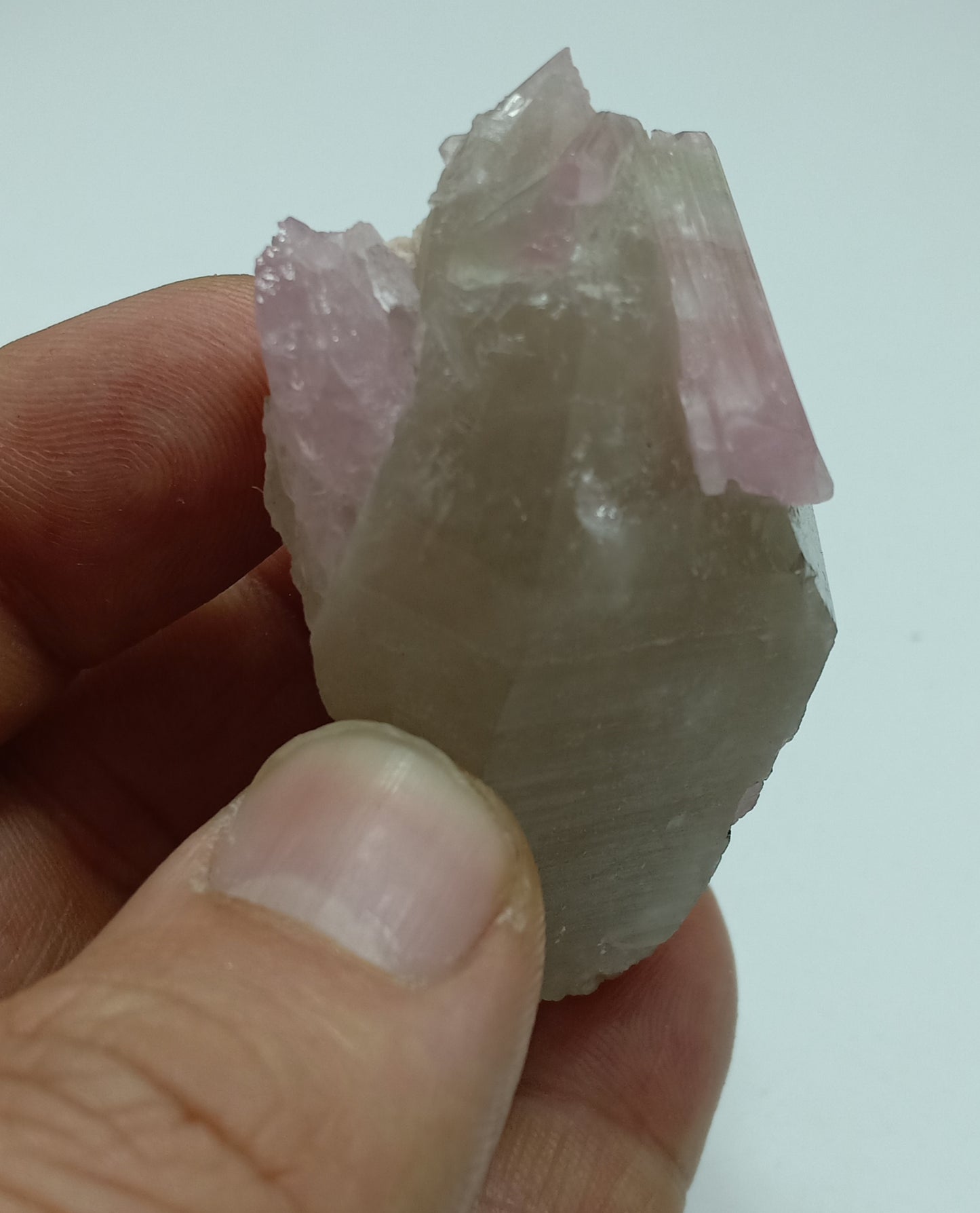 An amazing beautiful specimens of pink Tourmaline crystals Terminated smoky quartz 80g