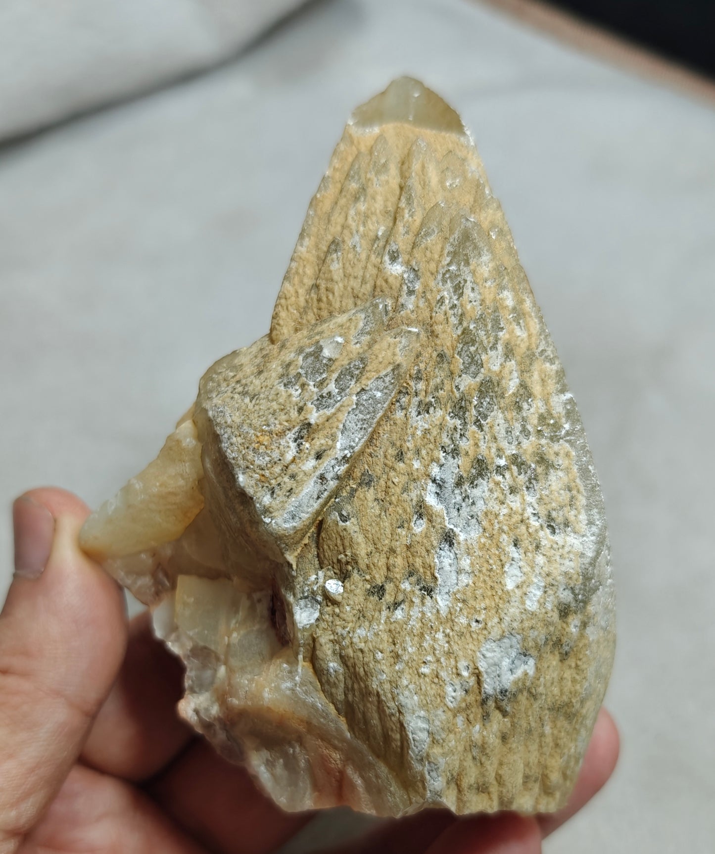 Natural Dogteeth calcite crystal 419 grams