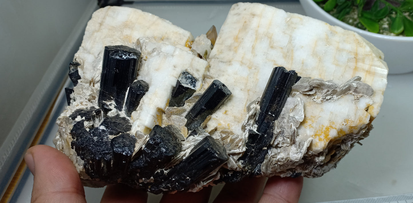 Beautiful Black Tourmaline Specimen with Albite and Quartz Crystals 1450 grams