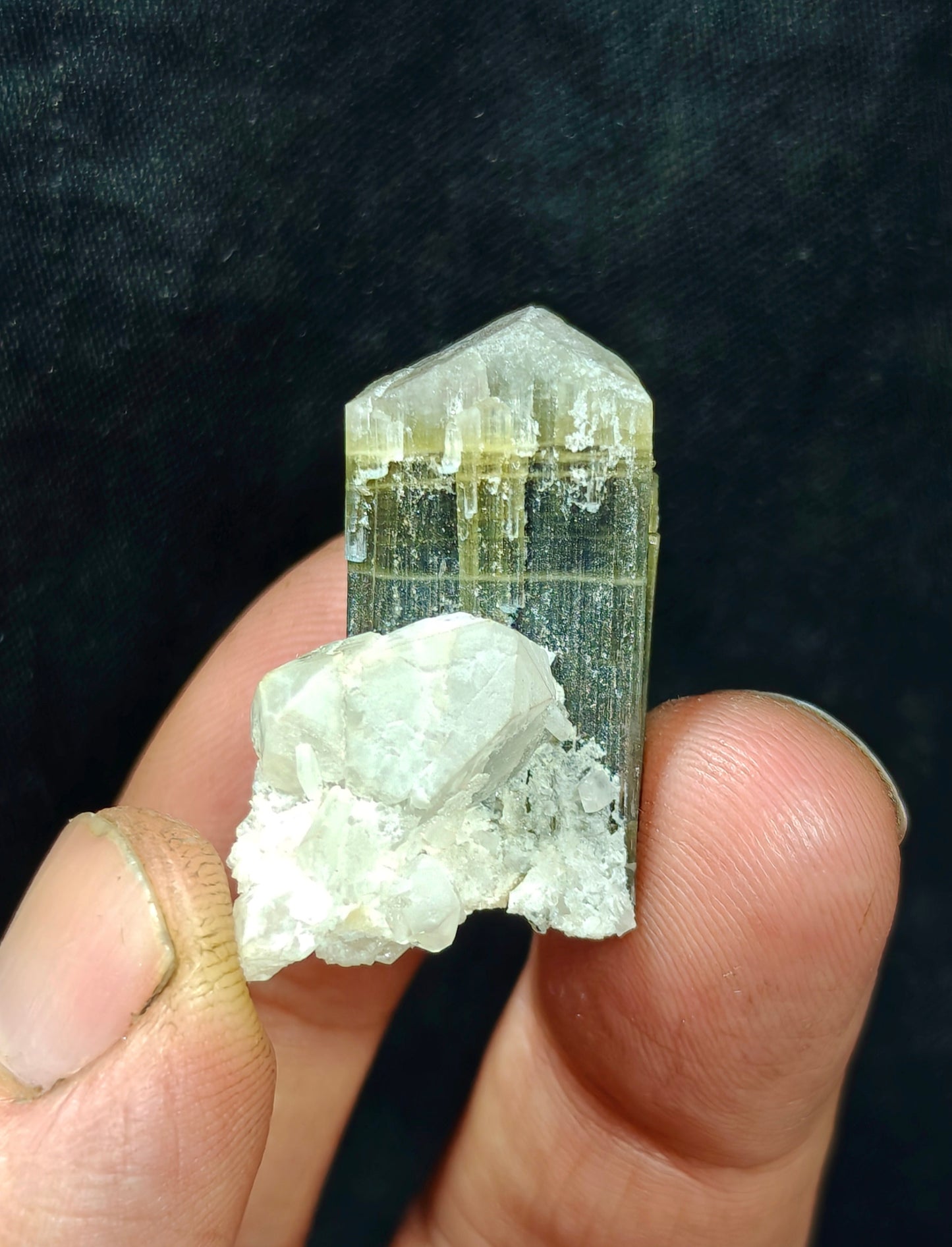 Natural dark green Tourmaline crystal with white head and associated quartz 14 grams