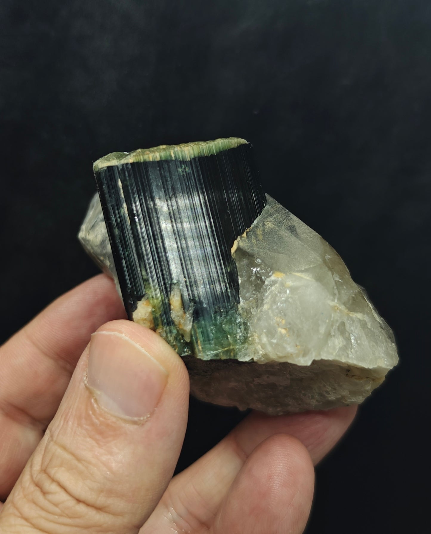 Natural greencap black/green Tourmaline crystal with smoky quartz 212 grams