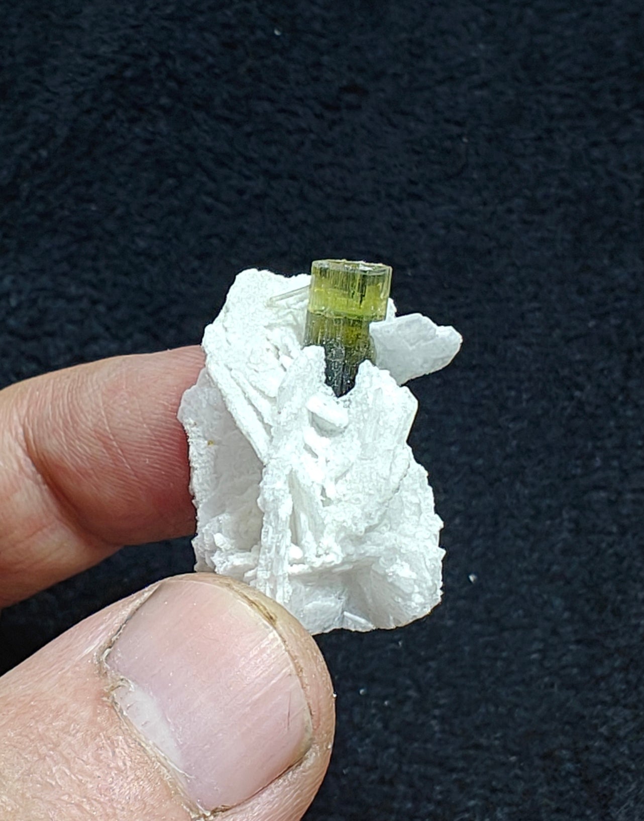 Greencap Tourmaline crystal with associated cleavelandite 10 grams