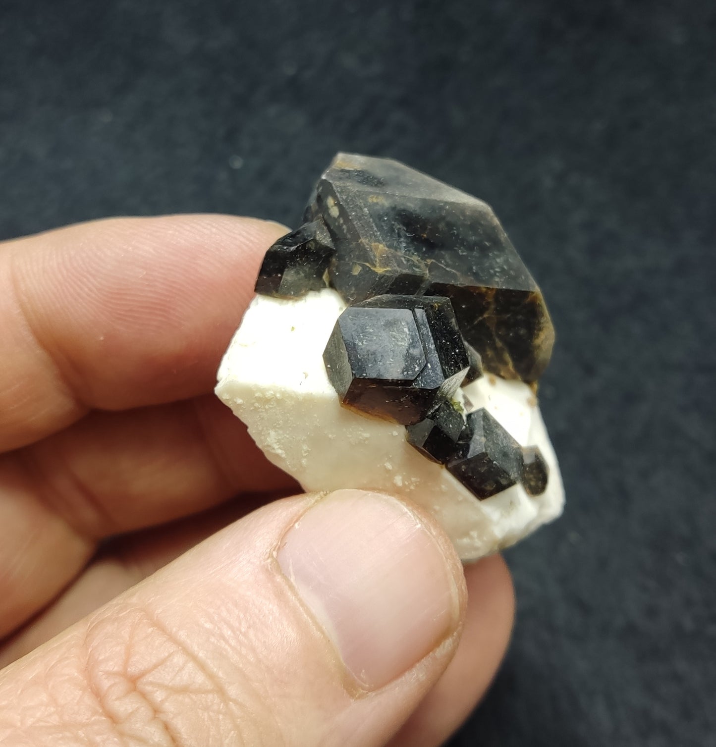 Garnet variety andradite on matrix 34 grams
