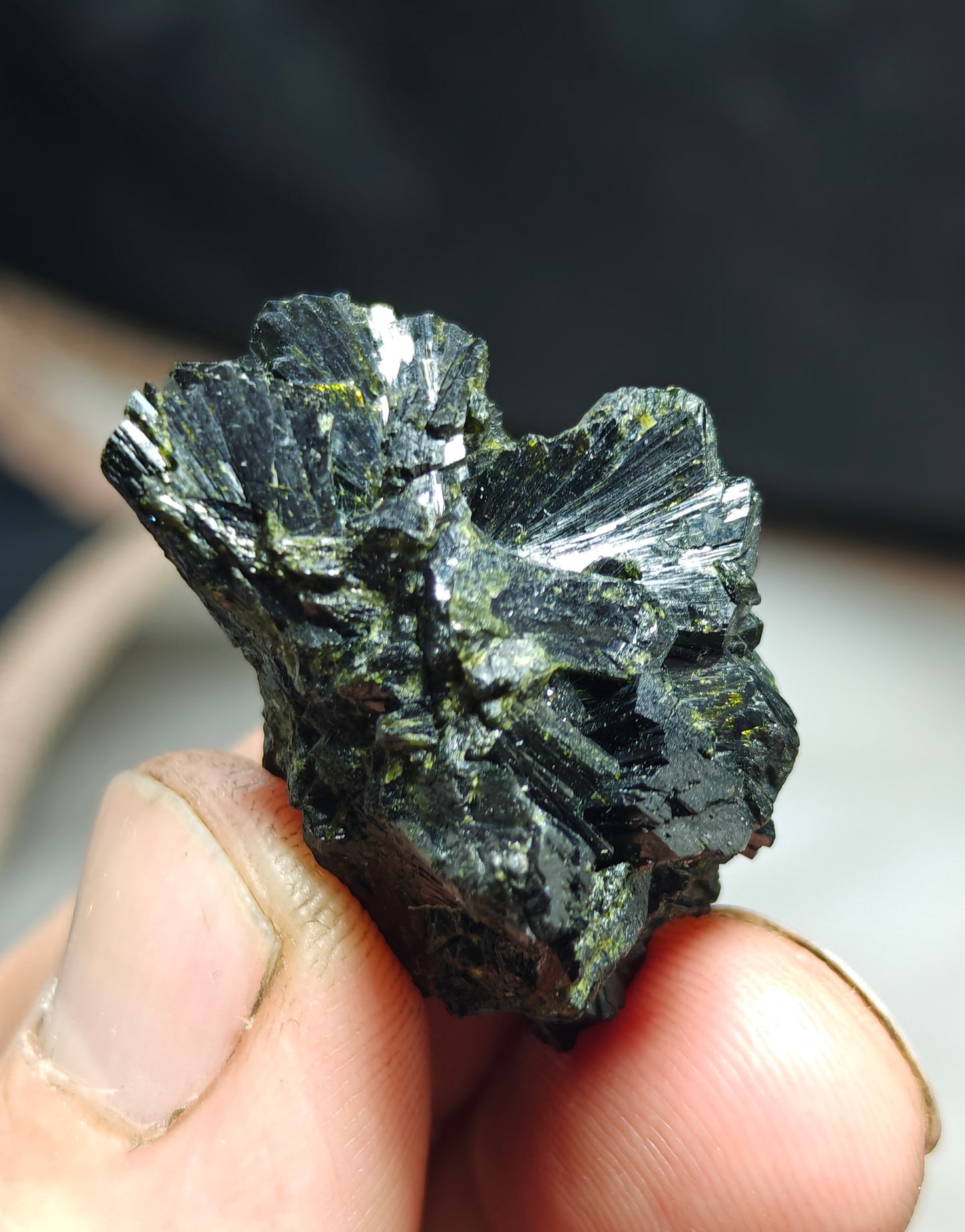 bowtie Epidote 20 grams